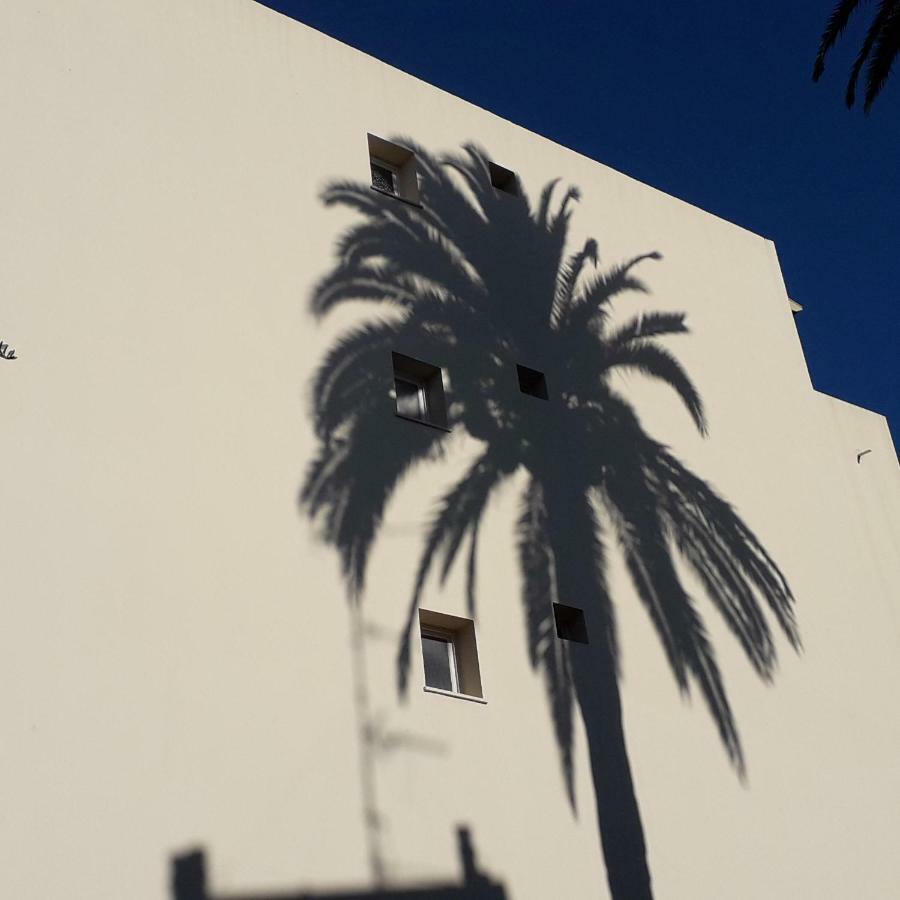 דירות ניס Les Pins . 2 P Calme Et Terrasse מראה חיצוני תמונה